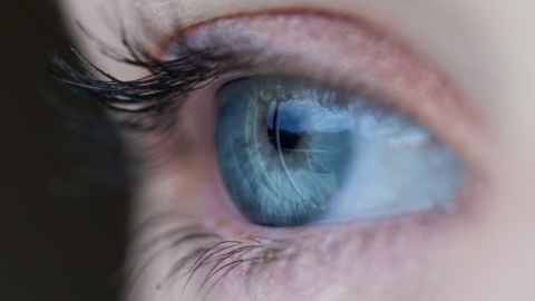 Eye