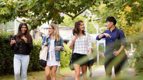 Students walking outside and chatting to each other.