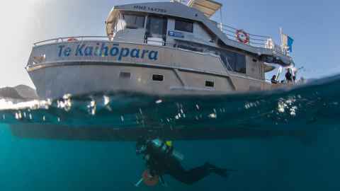 Boat on water with a diver shown underneath.