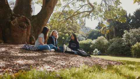 Group of students sitting under a large tree on campus grounds