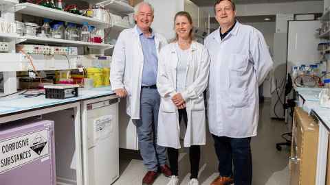 Dr Jessie Jacobsen (centre,) with colleagues, Professor Russell Snell and Associate Professor Klaua Lehnert.