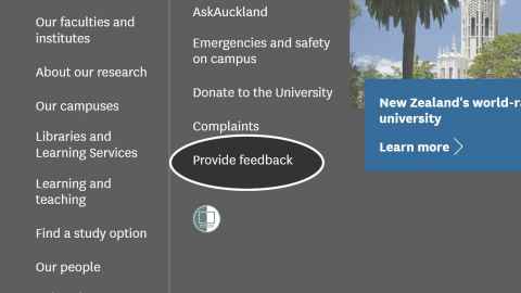 Screenshot of feedback link in page footer