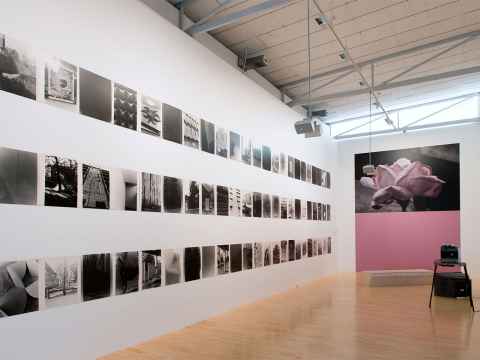 Gavin Hipkins, The Domain, installation view, City Gallery Wellington, 2017.