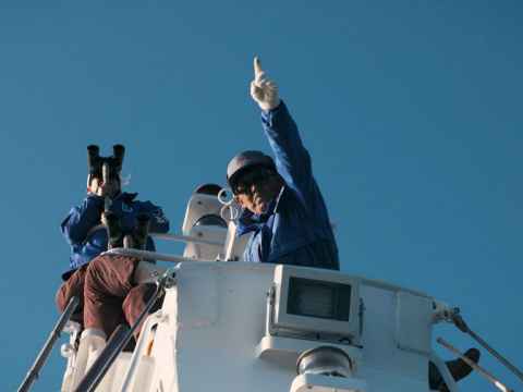 Jim Speers and Tu Rapana Neill, Ayukawa: The Weight of a Life, video still, Whānau Mārama: the New Zealand International Film Festival, 2021.