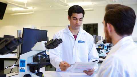 medical research job opportunities in new zealand