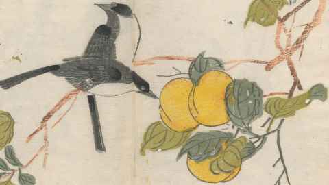 Detail of illustration of birds eating fruit from: Jie zi yuan hua zhuan san ji