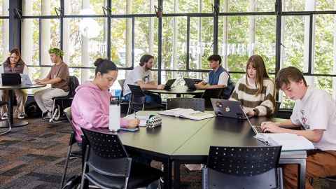 students working together around a table in the Library