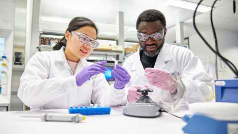 Liggins Institute doctoral students in the research laboratory