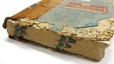Insect damaged 1920s correspondence register from the Western Pacific Archives.