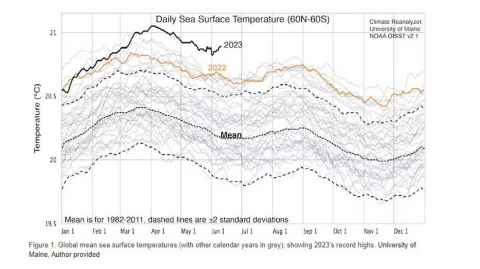 Graph of daily sea surface temperatures