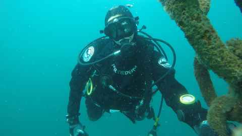 Dr Caitlin Blains underwater in diving gear