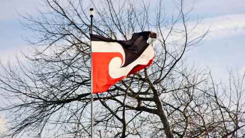 The national Māori flag known by it's Māori name Tino Rangatiratanga flapping on a windy day in trees.