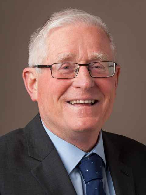 Professor Mark Henaghan