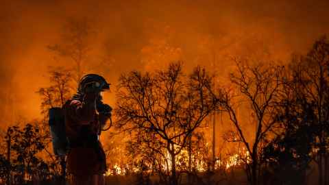 wildfire istock