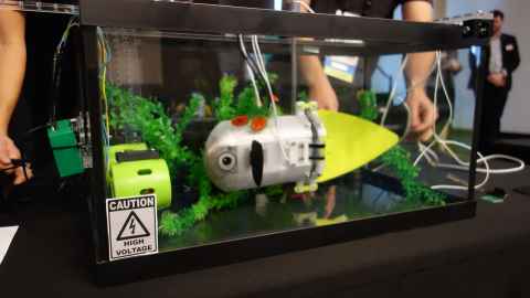 Robot fish in his tank - silver body, black fin and yellow tail