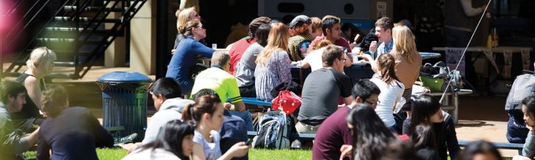 Students enjoying their lunch in the sunshine.