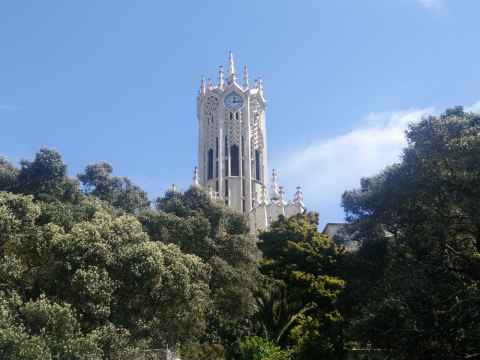 SCI005: View of trees in front of Clock Tower on University of Auckland grounds