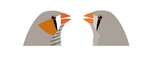 SCI007: Two birds facing each other