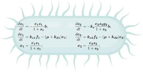 SCI030:Exploring the functional consequences of different molecular mechanisms in bacterial carbon catabolite repression using mathematical modelling