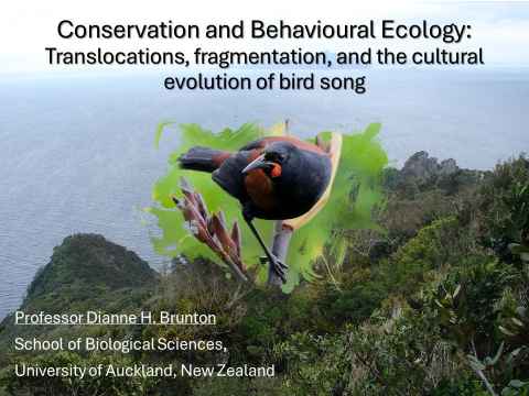 SCI004: Conservation and Behavioural Ecology: Translocations, fragmentation and the cultural evolution of bird song
