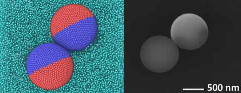 Janus spheres