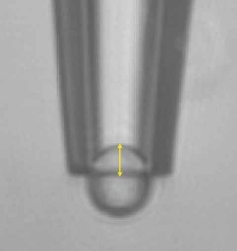 Droplet in pipette