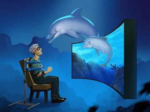 SCI136: Dolphins jumping out of tv scrren towards seated person
